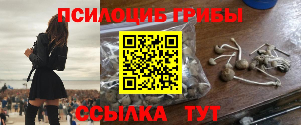 Псилоцибиновые грибы ЛСД Великие Луки